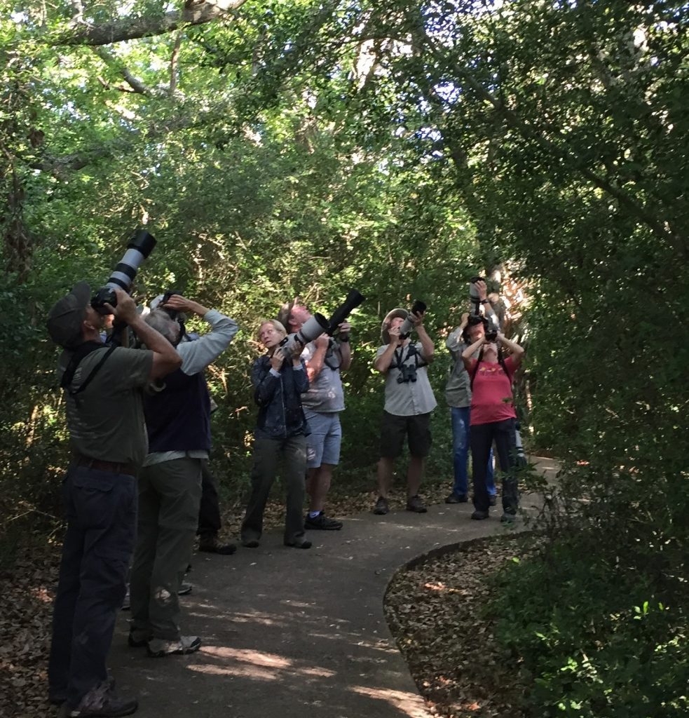 Photographers at LC Galveston Island Nature Tourism Council