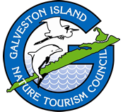 Galveston Island Nature Tourism Council