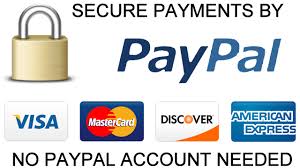 secure payment paypal
