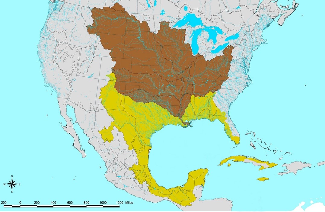 Gulf Of Mexico Watershed Galveston Island Nature Tourism Council gulf-of-mexico-watershed-galveston-island-nature-tourism-council
