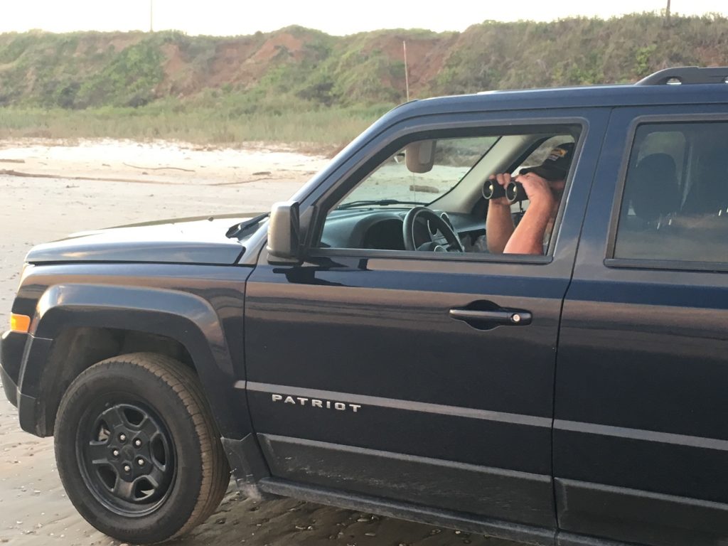 Birding By Car