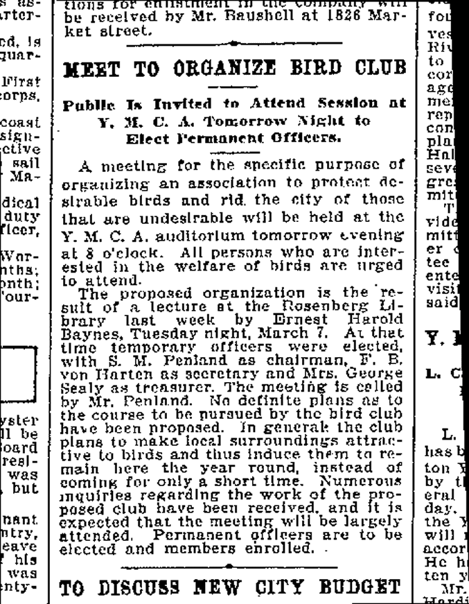 Galveston Newspaper Article, March 16, 1916