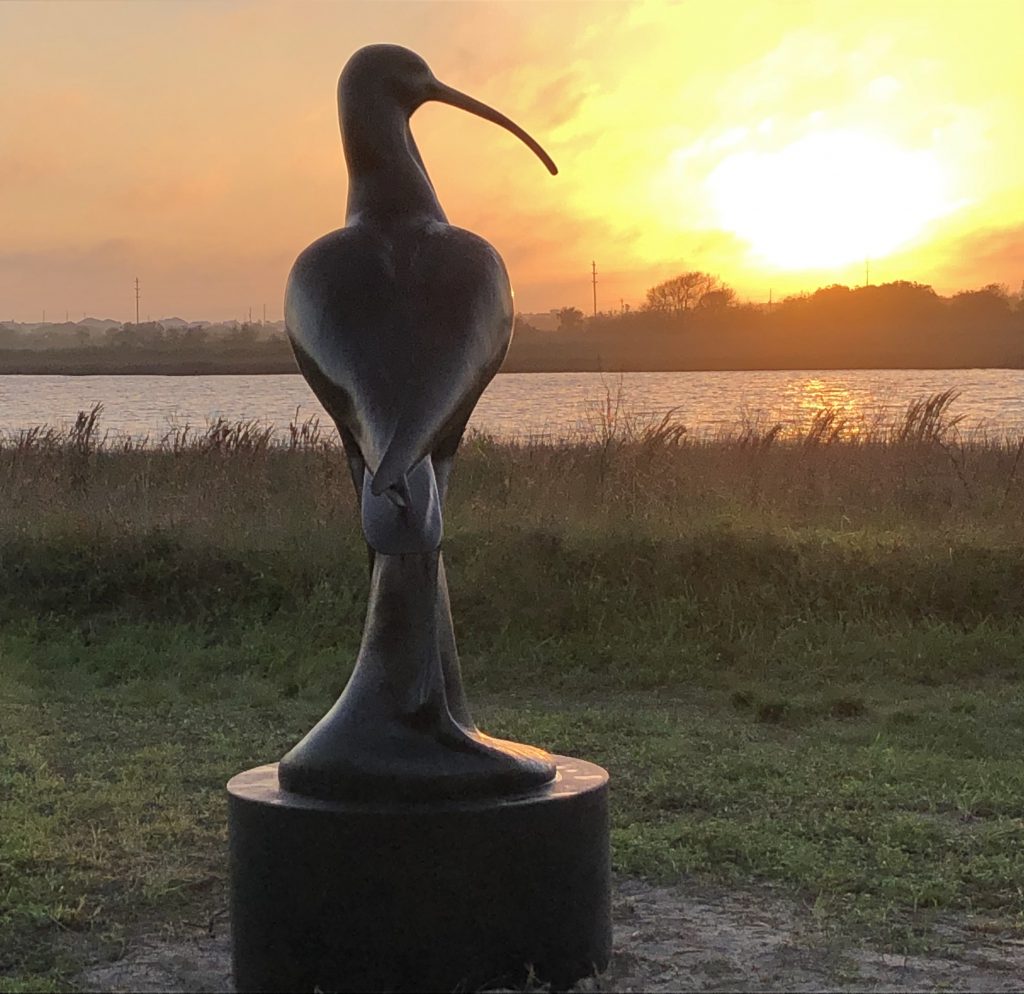 The Lost Bird Project Galveston Island Nature Tourism Council