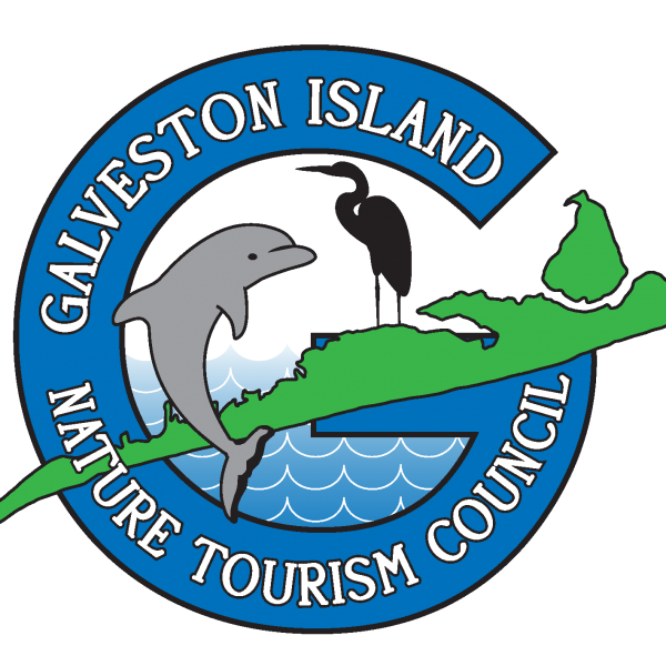 Upper Texas Coast Birding Galveston Island Nature Tourism Council
