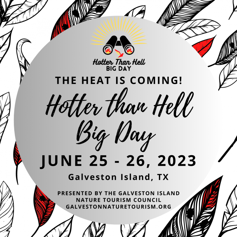 Homepage Galveston Island Nature Tourism Council