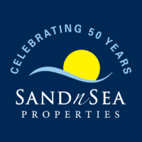 SNS 50th logo dark blue