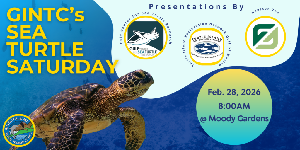 Final Design for STS 2026